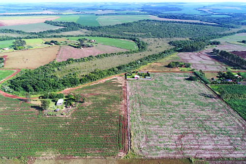 Fazendas e Sítios no Mato Grosso: Oportunidades Imperdíveis para Investir e Morar no Campo