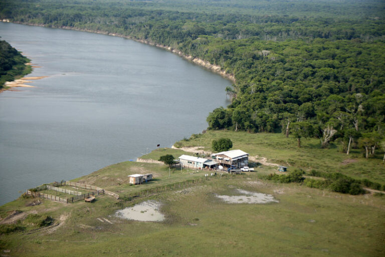 Fazendas, Chácaras e Sítios em Rondônia: Oportunidades e Potencial do Mercado Imobiliário Rural